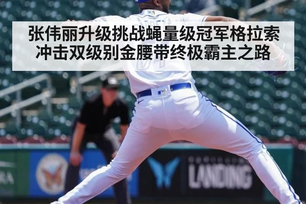 张伟丽升级挑战蝇量级冠军格拉索冲击双级别金腰带终极霸主之路